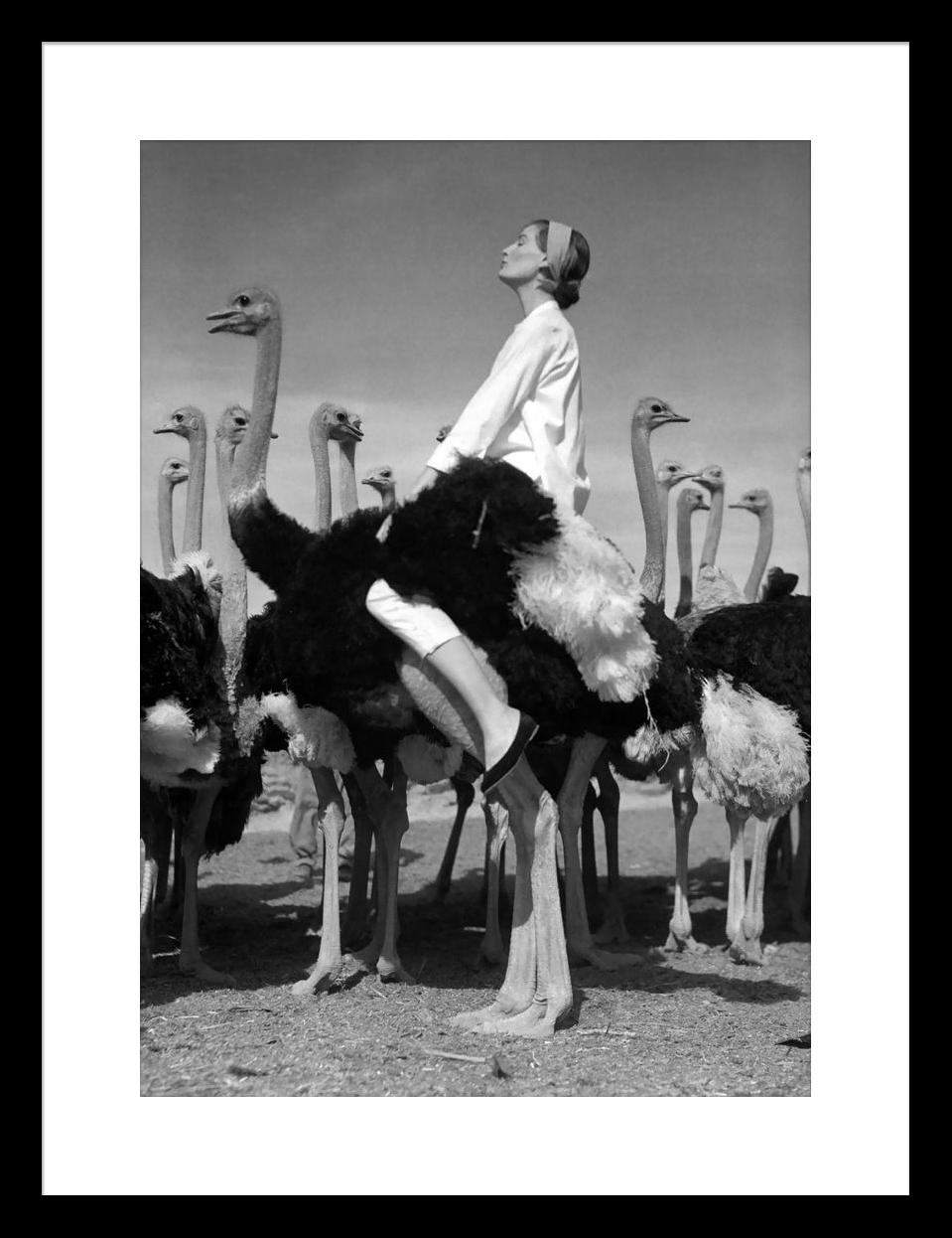 WENDA  AND OSTRICHES. BRITISH VOGUE, SOUTH AFRICA, MAY 1951